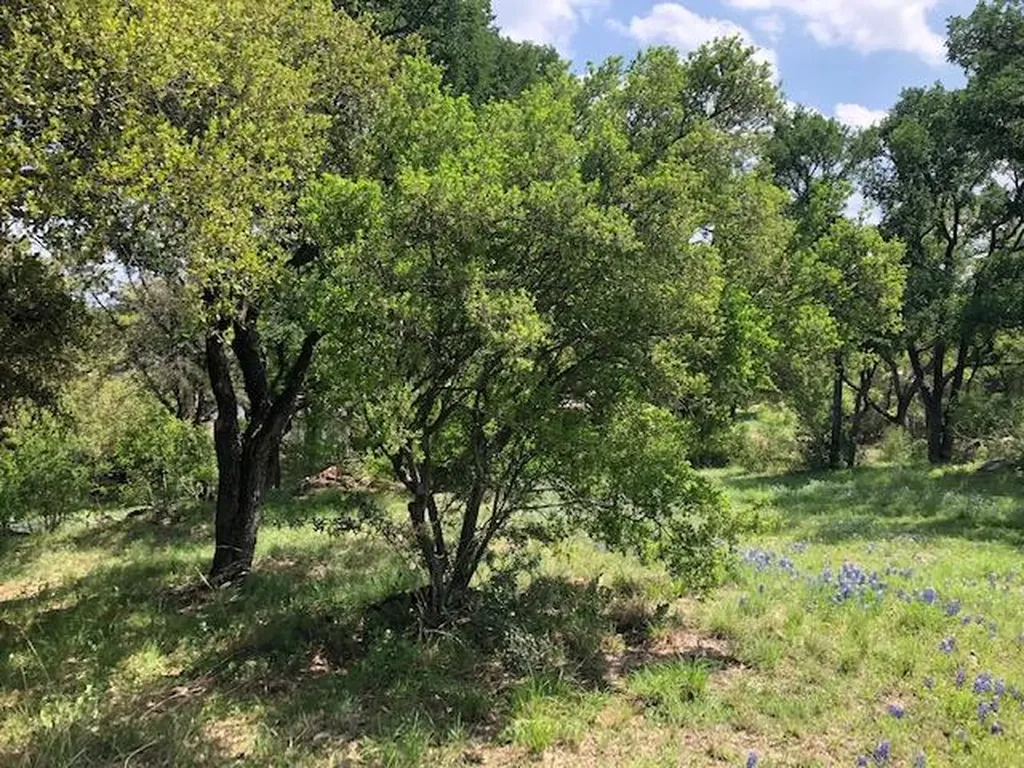 Tbd Bay West/quick Circle Horseshoe Bay TX 78657