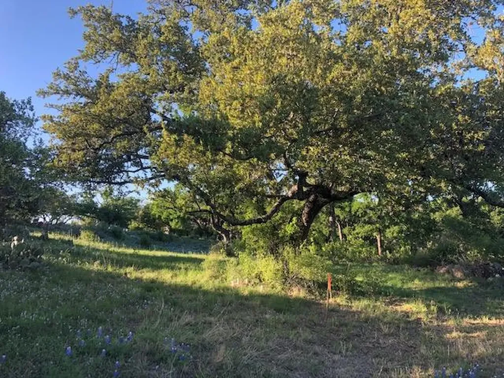 Tbd Bay West/quick Circle Horseshoe Bay TX 78657