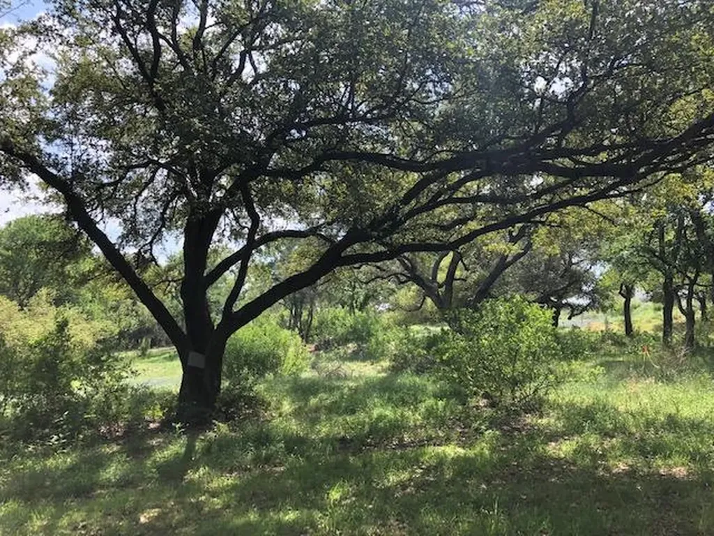 Tbd Bay West/quick Circle Horseshoe Bay TX 78657