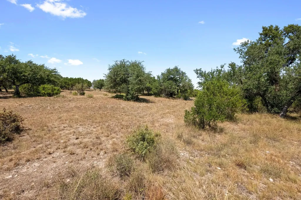 650 Springlake Drive Dripping Springs TX 78620