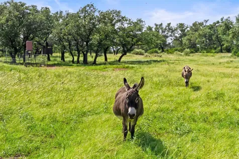 4529 Ranch Road 3347 Round Mountain TX 78663