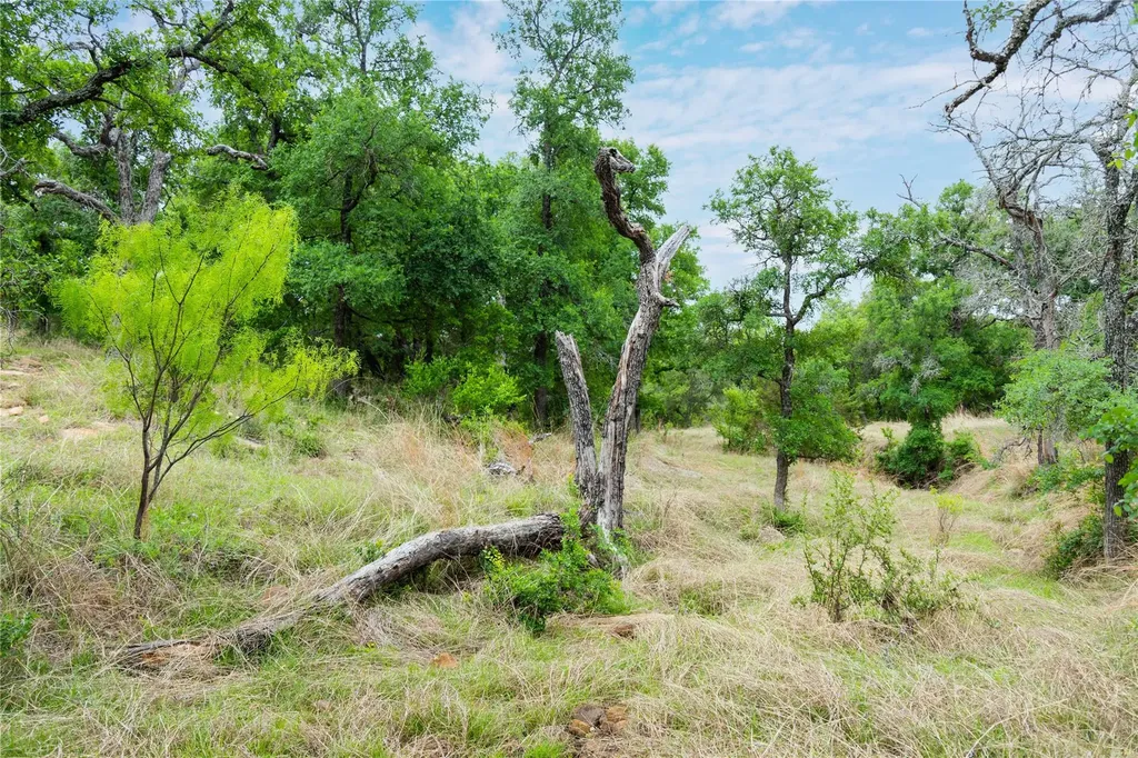 182 County Road 430 Road Mullin TX 76864