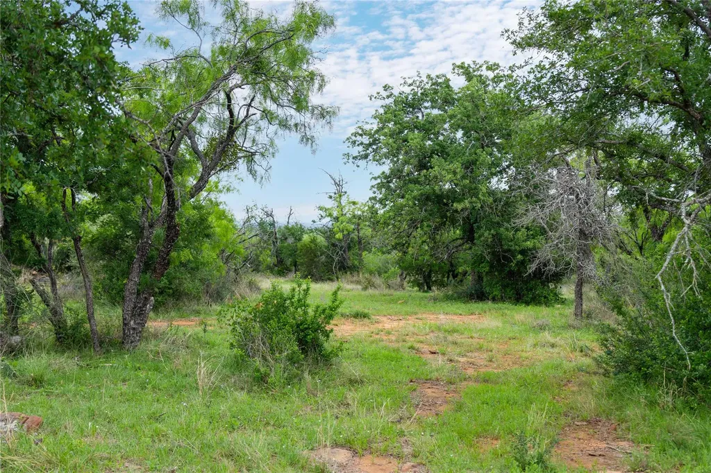 182 County Road 430 Road Mullin TX 76864