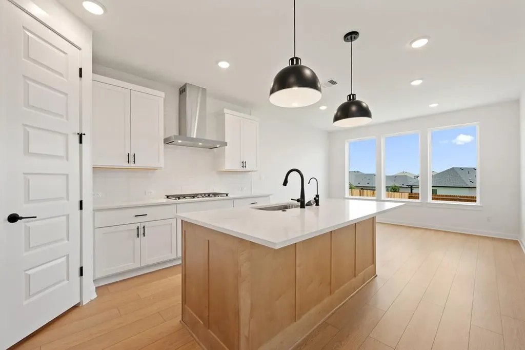 169 Grayson Elm Pass Dripping Springs TX 78620
