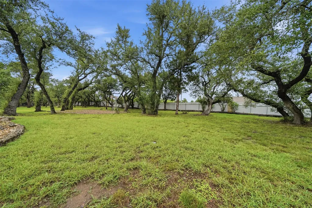 1013 Hidden Hills Drive Dripping Springs TX 78620