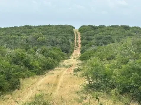 5394 Fm 2200 Road W Devine TX 78016