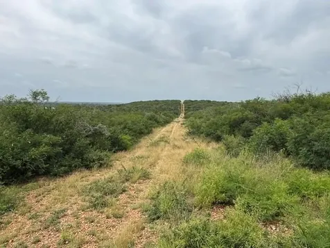 5394 Fm 2200 Road W Devine TX 78016
