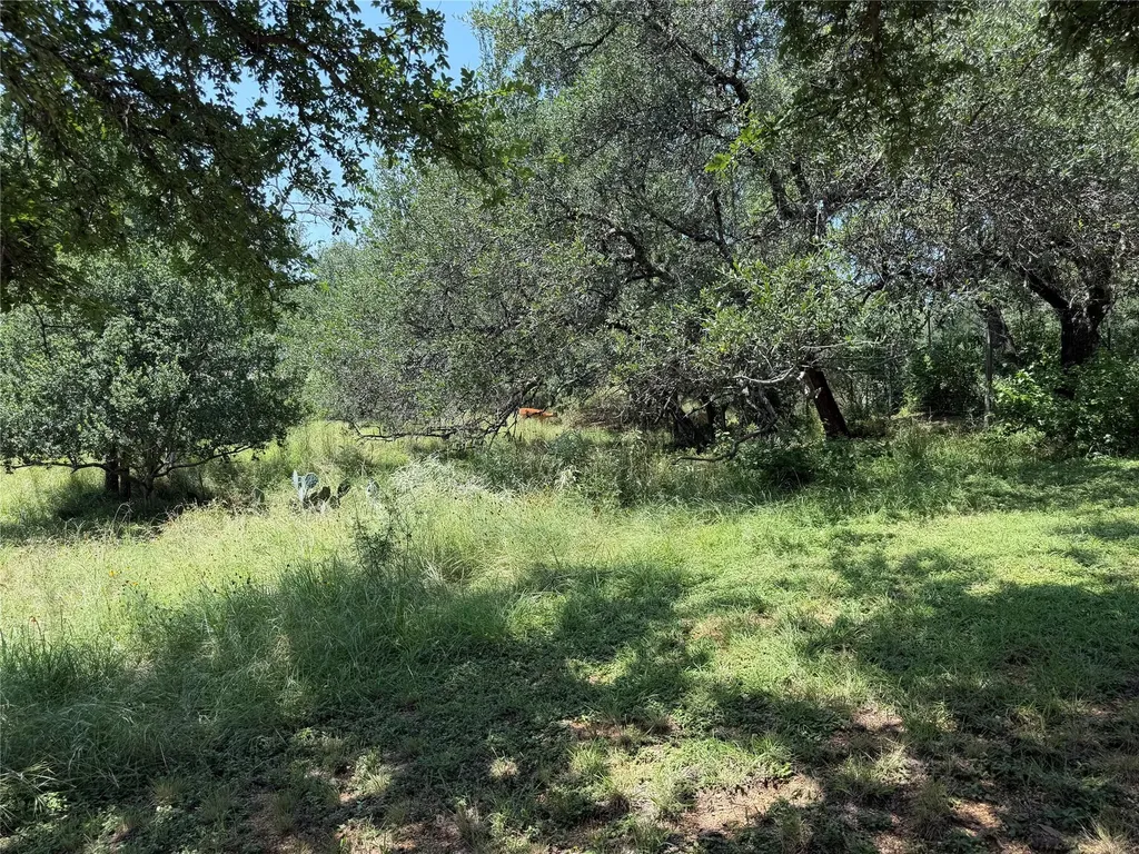 2302 Belaire Drive Granite Shoals TX 78654