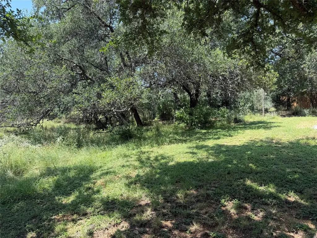 2302 Belaire Drive Granite Shoals TX 78654
