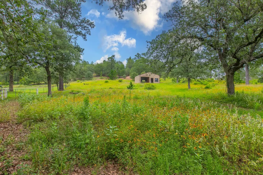 136 Redbird Lane Smithville TX 78957