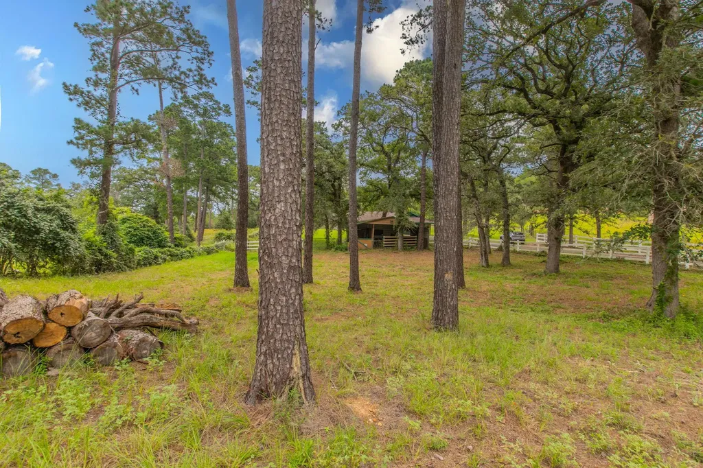 136 Redbird Lane Smithville TX 78957