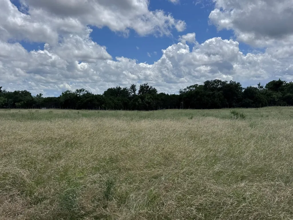 257 W Rolling Oaks Drive Goldthwaite TX 78644