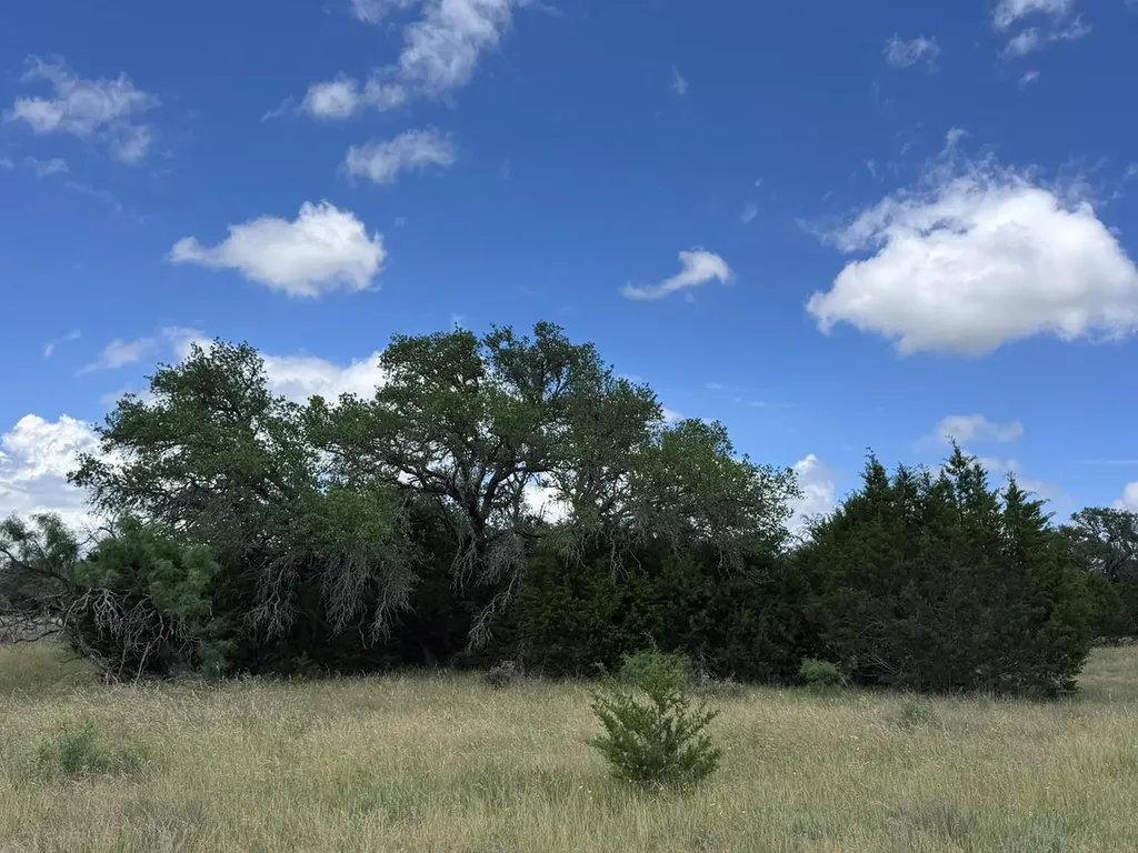 257 W Rolling Oaks Drive Goldthwaite TX 78644