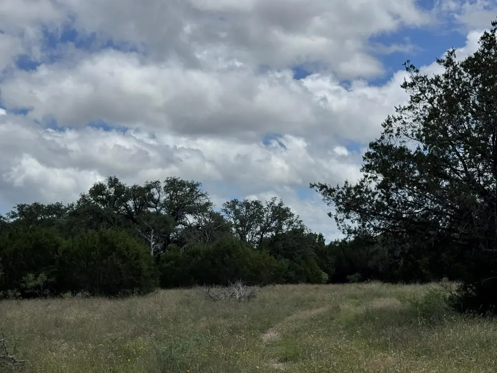 257 W Rolling Oaks Drive Goldthwaite TX 78644