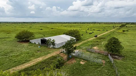 Tbd Rice Road Bernardo TX 78933