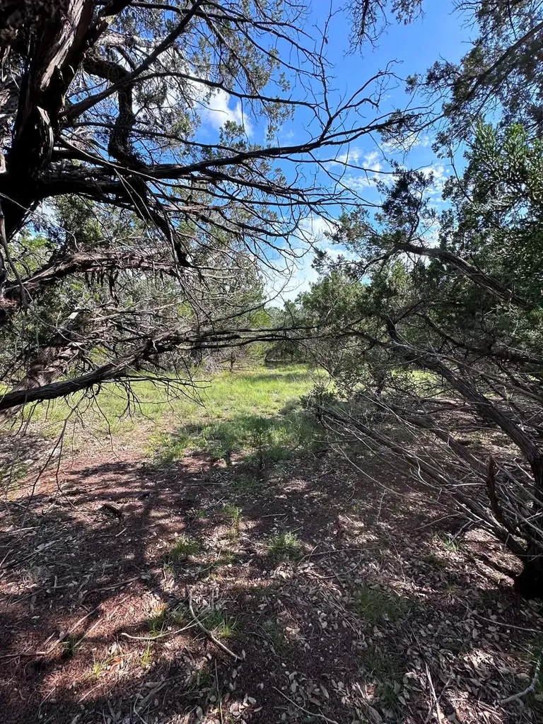 417 Prochnow Road Dripping Springs TX 78620
