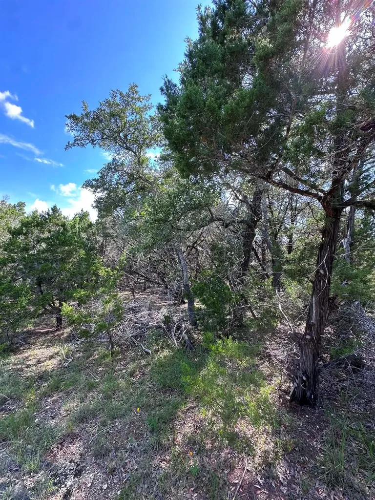417 Prochnow Road Dripping Springs TX 78620