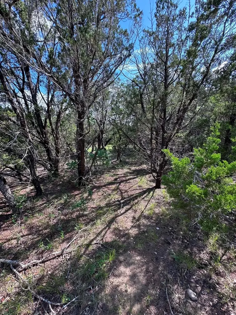 417 Prochnow Road Dripping Springs TX 78620