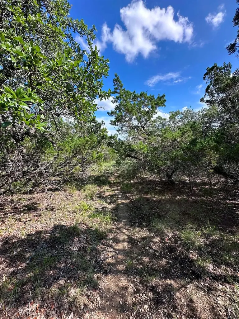417 Prochnow Road Dripping Springs TX 78620