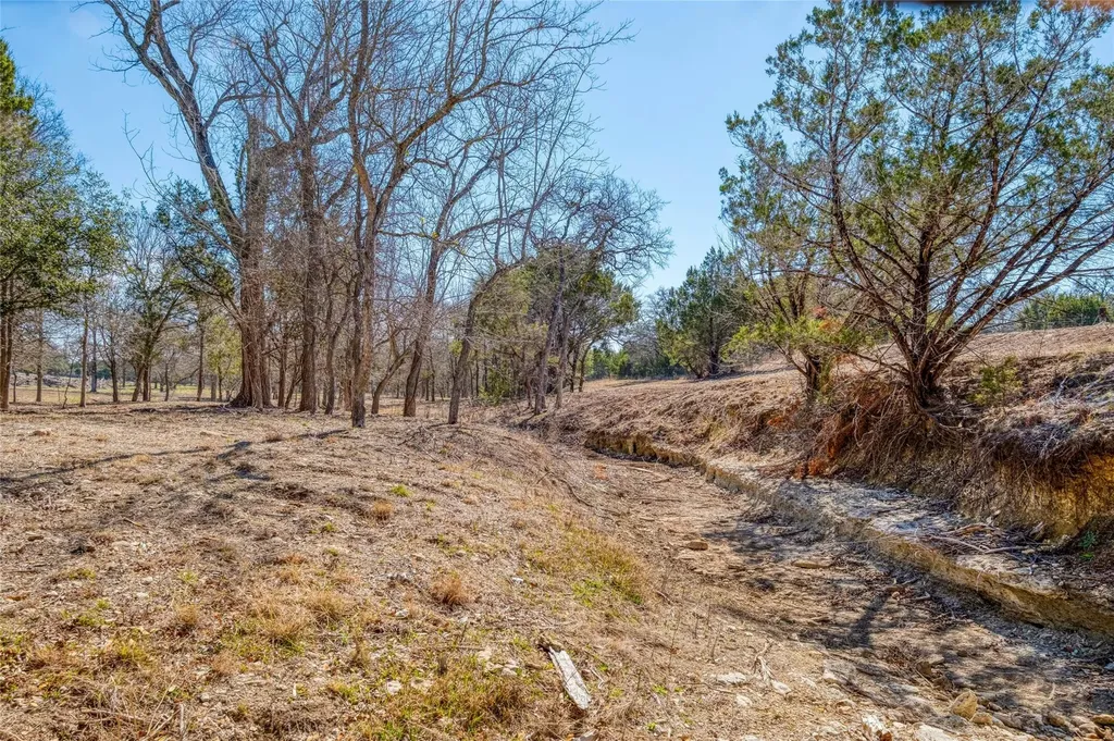 125 Milton Creek Ranch Road Liberty Hill TX 78642
