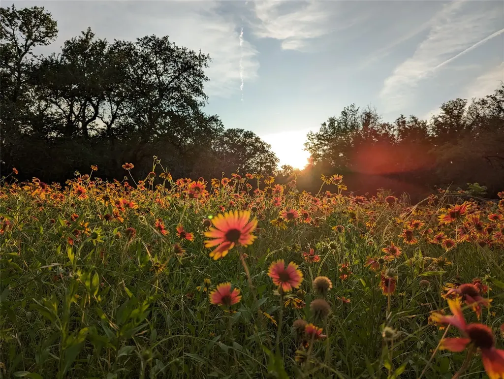 1751 County Road 255 Georgetown TX 78633