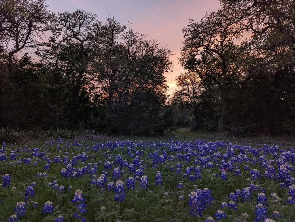 1751 County Road 255 Georgetown TX 78633