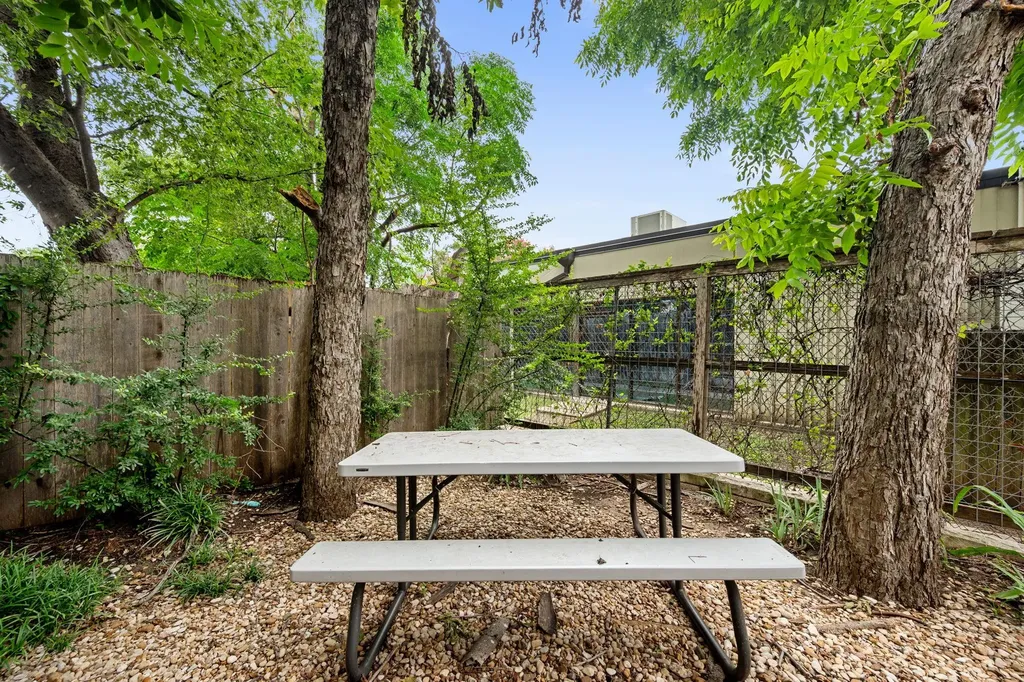1504 Collier Street Austin TX 78704