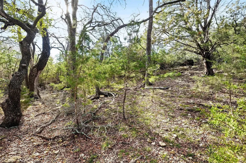 262 Beauchamp Road Dripping Springs TX 78620