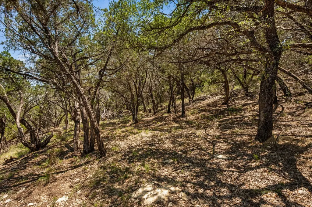 6925 White Hills Lane Marble Falls TX 78654
