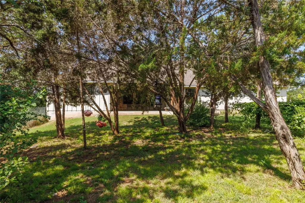 121 Esperanza Petal Pass Liberty Hill TX 78642
