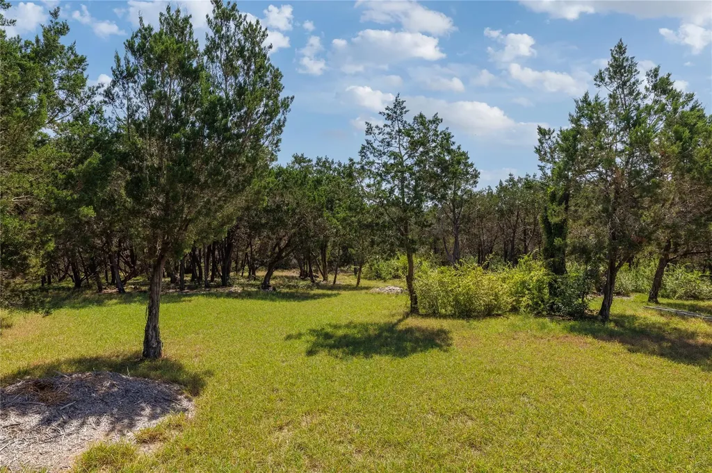 121 Esperanza Petal Pass Liberty Hill TX 78642