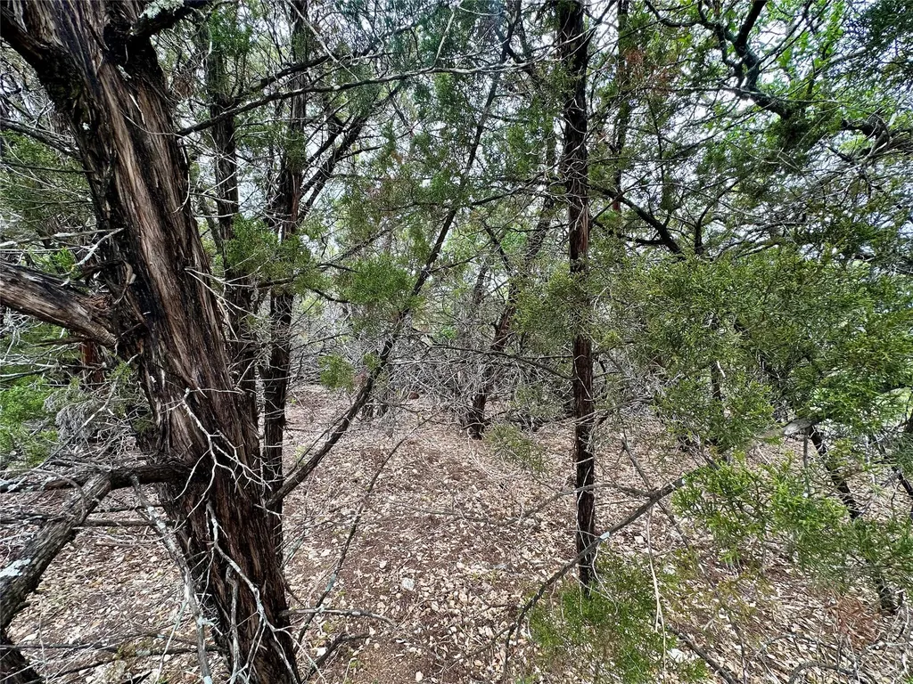 20732 Camel Back Street Lago Vista TX 78645