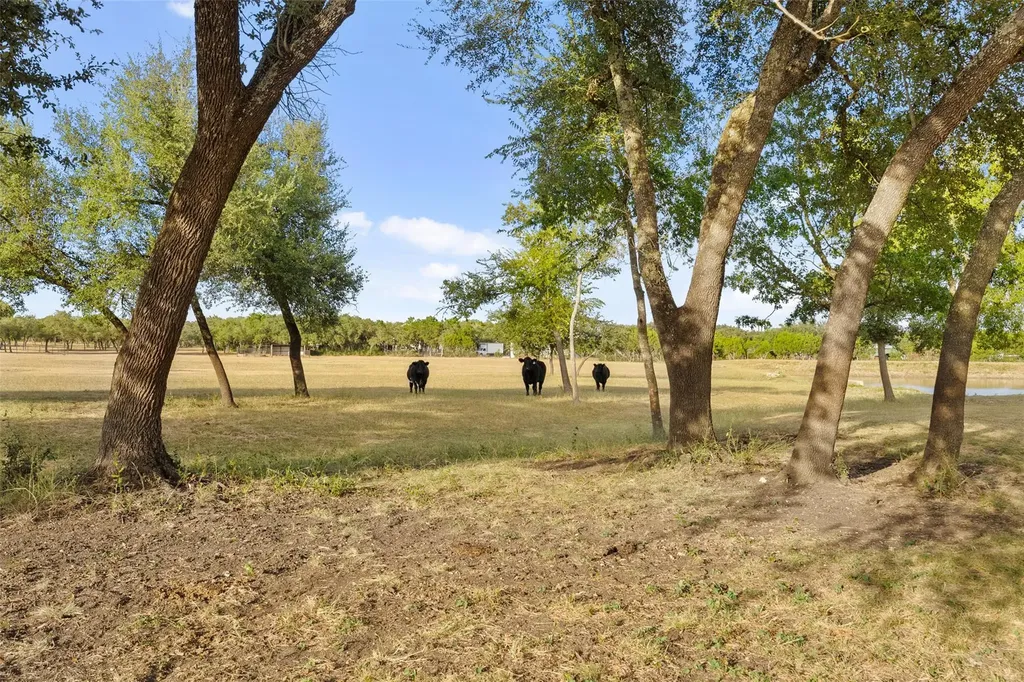2700 County Road 282 Road Leander TX 78641