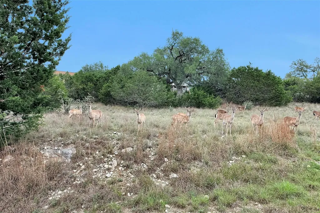 1226 Cougar Drive Canyon Lake TX 78133