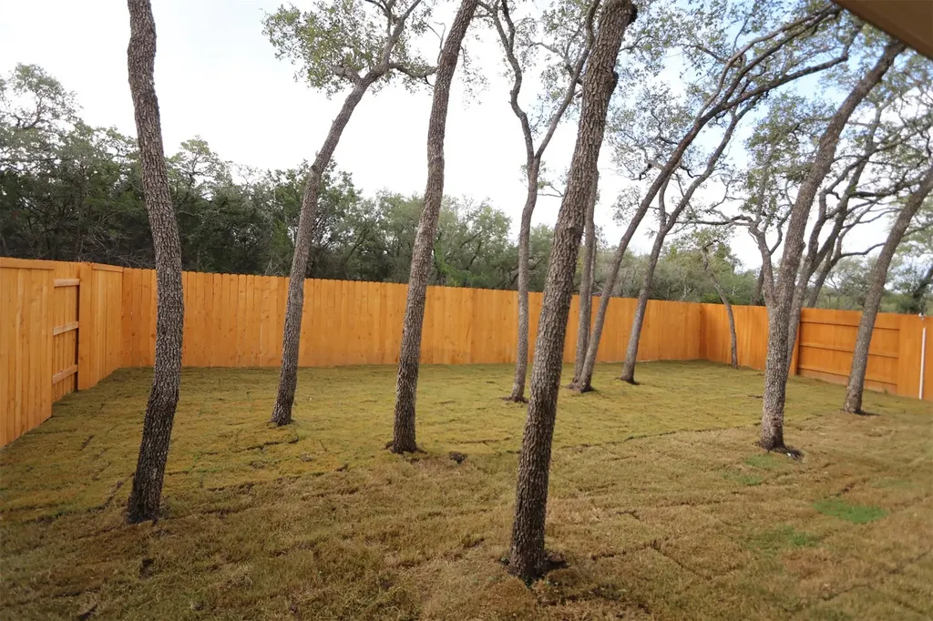 1316 Texas Ash Lane Georgetown TX 78628