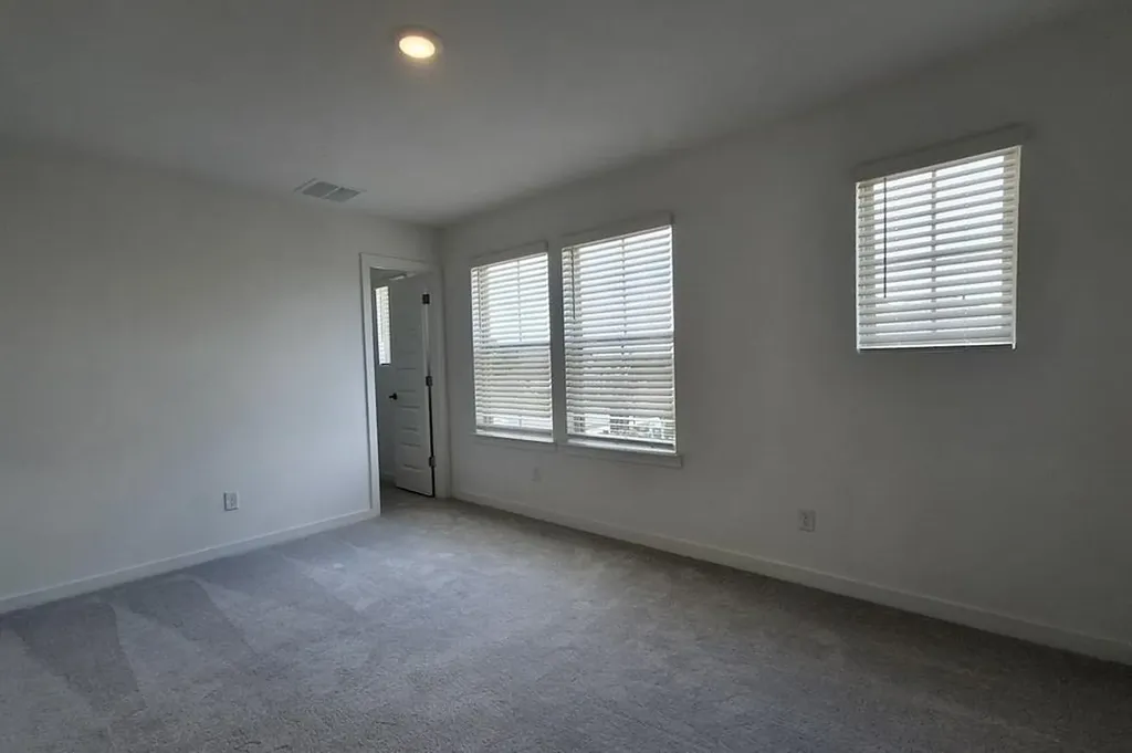 1808 Spring Mountain Cove Georgetown TX 78628