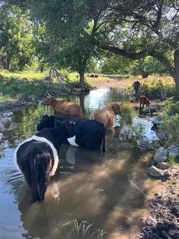 Tbd County Road 200 Burnet TX 78611
