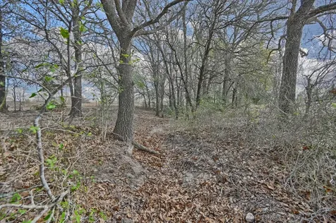 Tbd Fm 2440 Giddings TX 78942