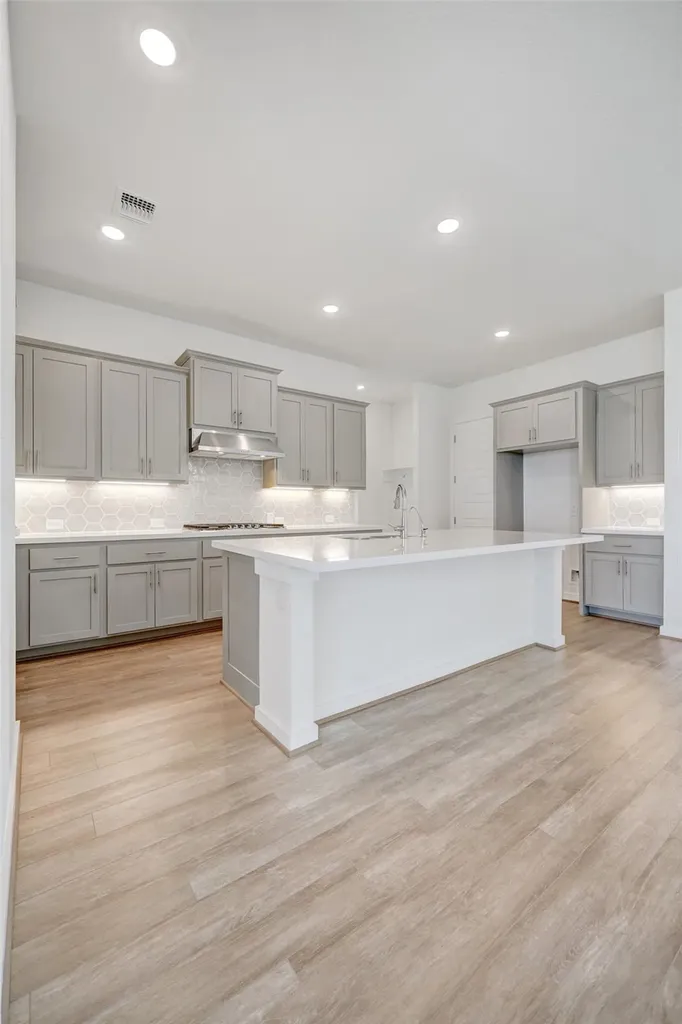 4306 Frankfurt Lane Round Rock TX 78665