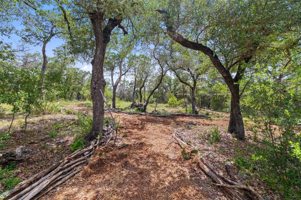 10212 Amwell Cove Austin TX 78733