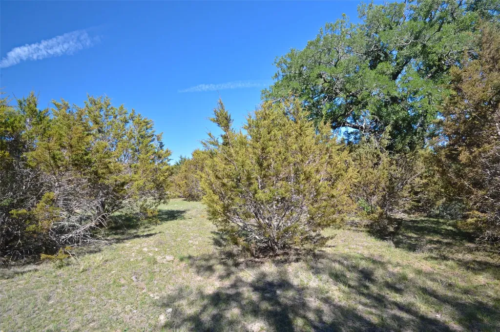0 Fm 581 Highway Lometa TX 76853