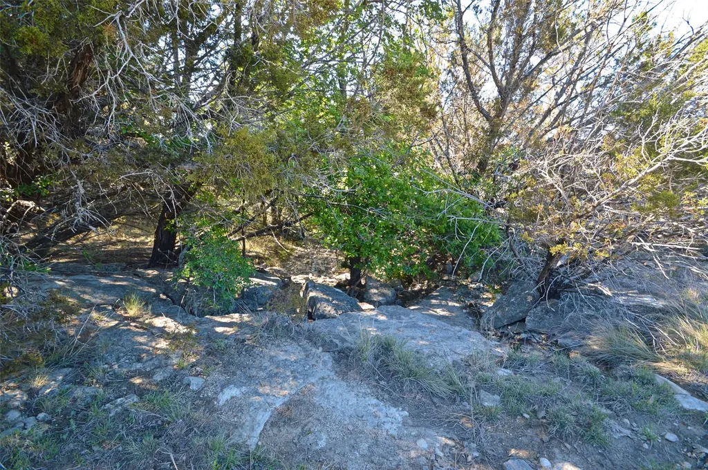 0 Fm 581 Highway Lometa TX 76853