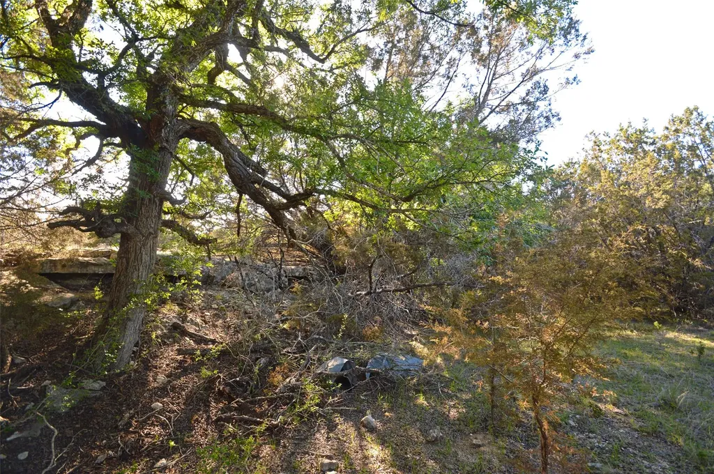 0 Fm 581 Highway Lometa TX 76853