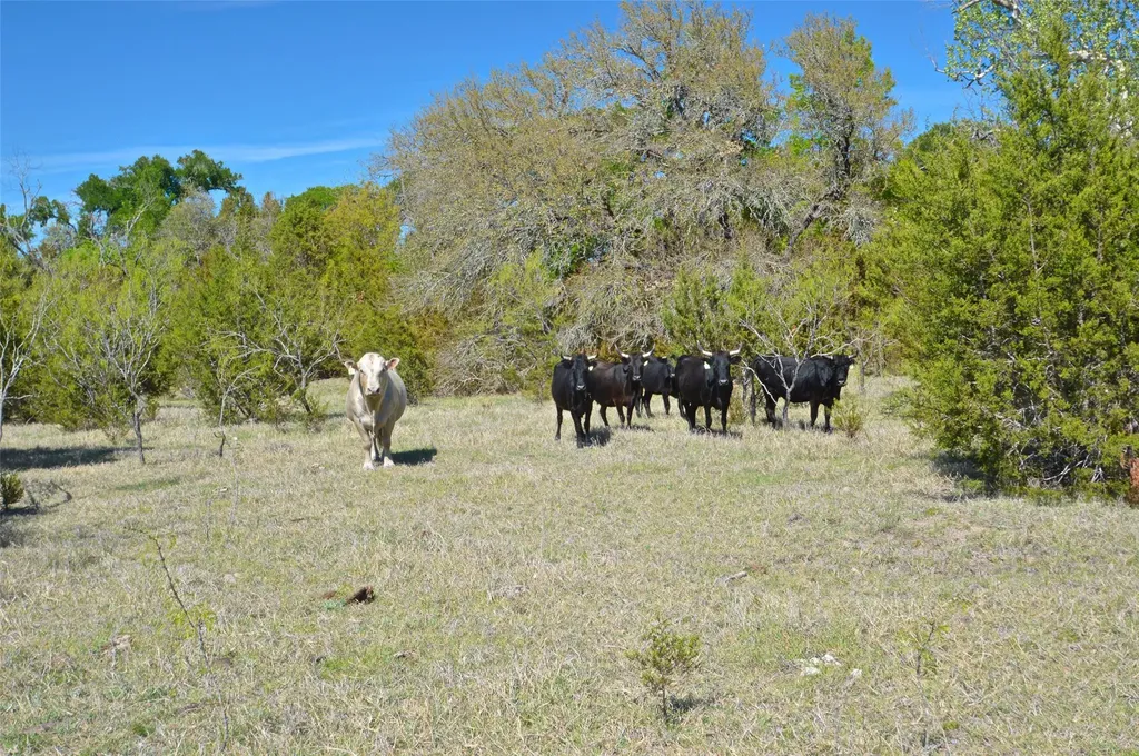 0 Fm 581 Highway Lometa TX 76853