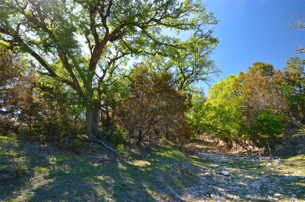 0 Fm 581 Highway Lometa TX 76853