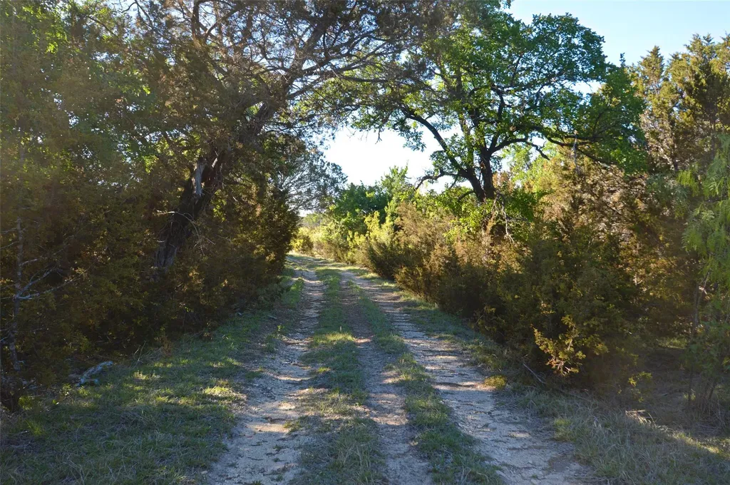 0 Fm 581 Highway Lometa TX 76853
