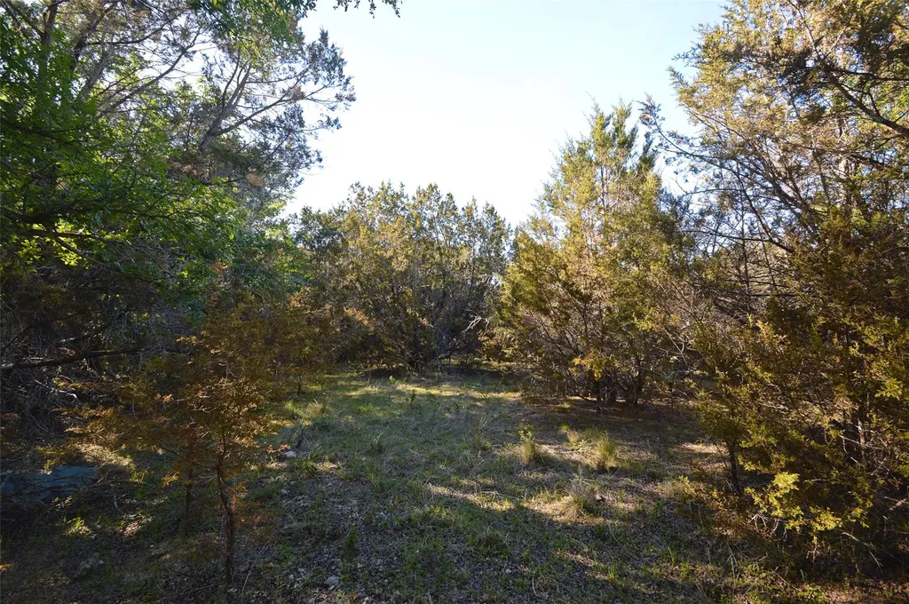 0 Fm 581 Highway Lometa TX 76853