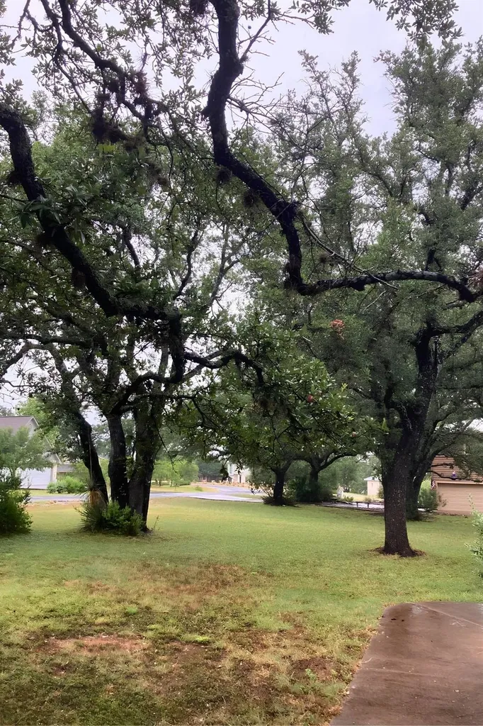 117 Keswick Drive Spicewood TX 78669