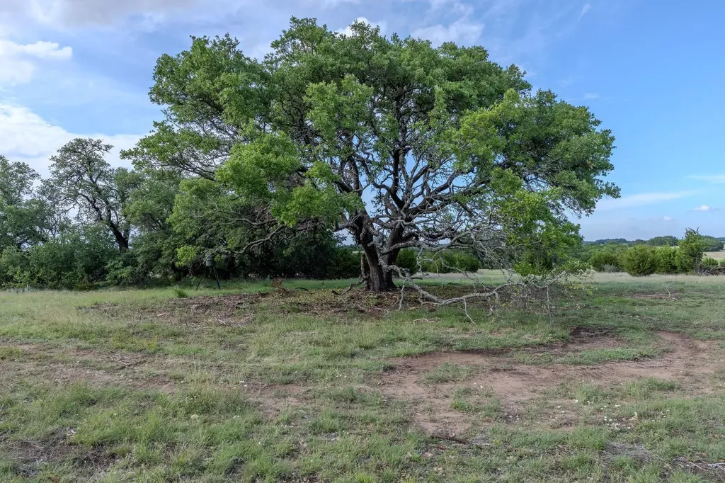 Lot 3 Bluestem Lane Lampasas TX 76550