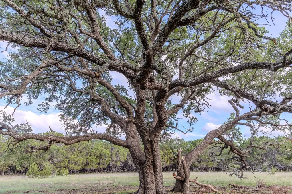 Lot 3 Bluestem Lane Lampasas TX 76550